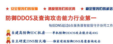 免费智能DNS解析服务商